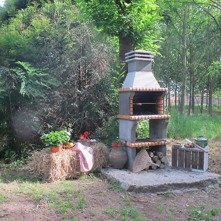 No Meio Da Natureza - Turismo No Espaco Rural Vila Nova de Famalicão Zewnętrze zdjęcie