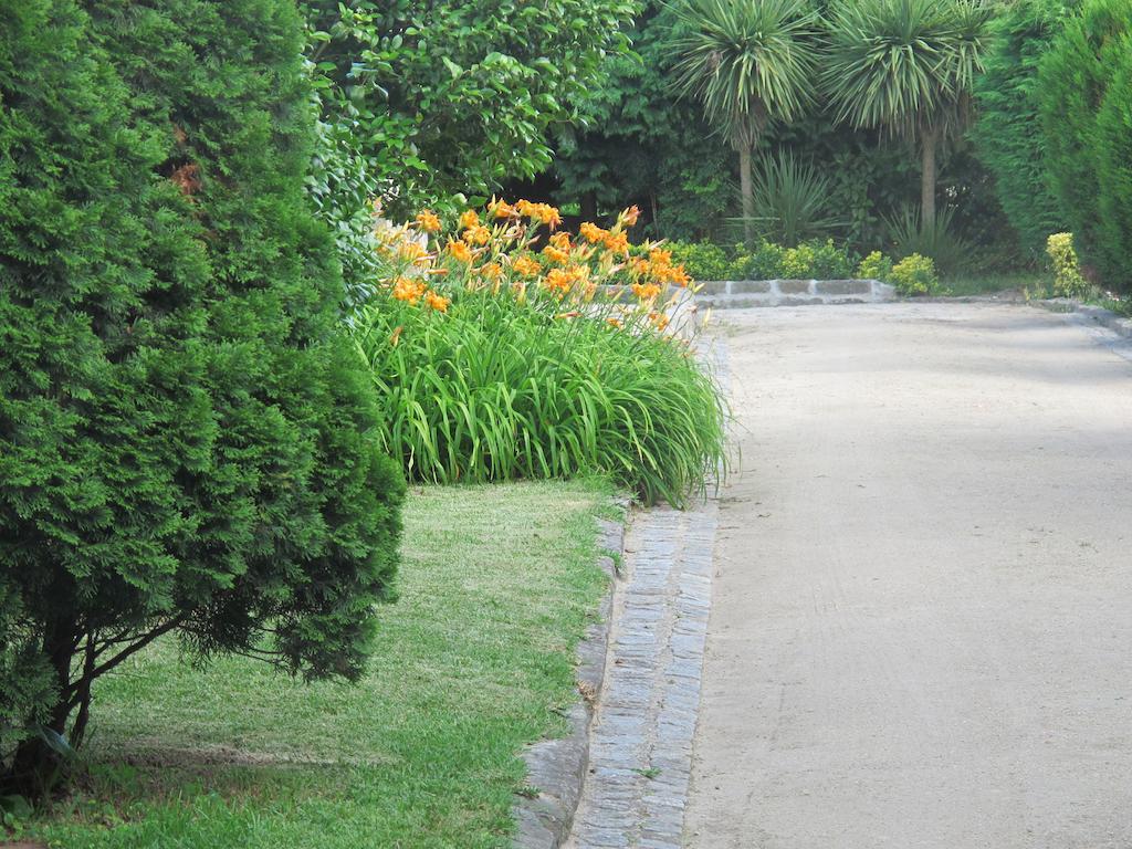 No Meio Da Natureza - Turismo No Espaco Rural Vila Nova de Famalicão Zewnętrze zdjęcie